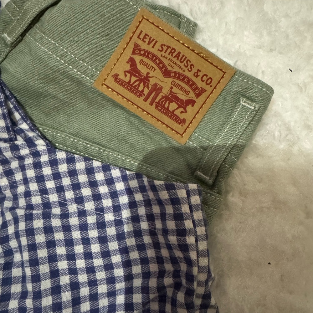 Levi's Green and Blue Jean Shorts
